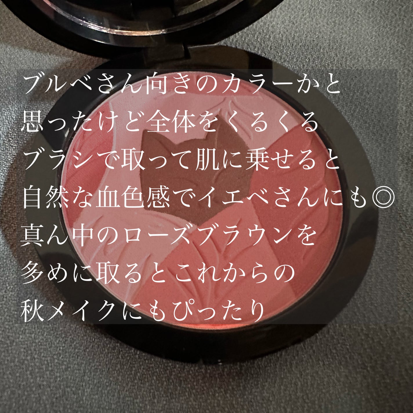 ハートビートブラッシャー/ZEESEA/パウダーチークを使ったクチコミ(4枚目)