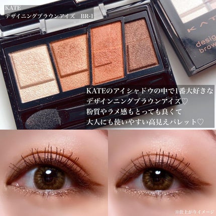 デザイニングブラウンアイズ/KATE/アイシャドウパレットを使ったクチコミ(2枚目)