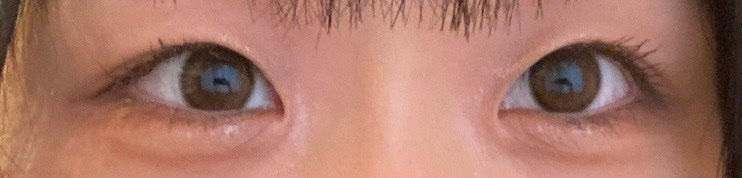 ReVIA 1day/ReVIA/ワンデー(1DAY)カラコンを使ったクチコミ(2枚目)