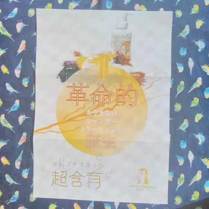 ボタニカルシャンプー /トリートメント トリートメント/エルゴクリーン・ティー /シャンプー・コンディショナーの画像