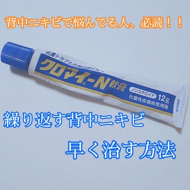 第一三共ヘルスケア クロマイ-N軟膏（医薬品）のクチコミ「【背中ニキビに悩む人絶対読んで欲しい！背中ニキビが1晩で小さくなった話！！】


説明まで行き.....」（1枚目）