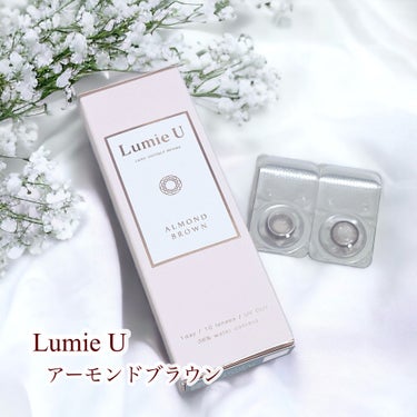 Lumie U Lumie U 1dayのクチコミ「🩷Lumie U アーモンドブラウン

大好きな石井美保さんプロデュースのカラコン🤎

美保さ.....」（1枚目）