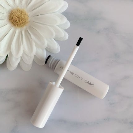 アイブローコート/オルビス/アイブロウコートを使ったクチコミ(2枚目)