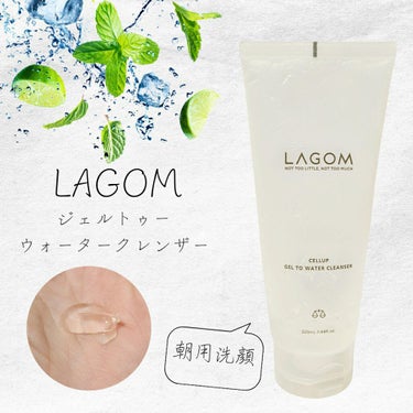 ラゴム ジェルトゥウォーター クレンザー(朝用洗顔)/LAGOM /洗顔フォームを使ったクチコミ（1枚目）