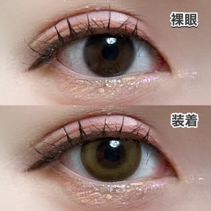 Angelcolor Bambi Series 1day /AngelColor/ワンデー(1DAY)カラコンを使ったクチコミ(2枚目)