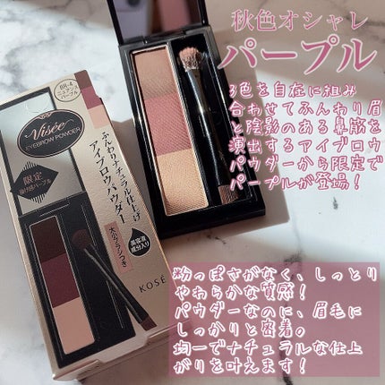 ヴィセ リシェ アイブロウパウダー/Visée/パウダーアイブロウを使ったクチコミ(2枚目)