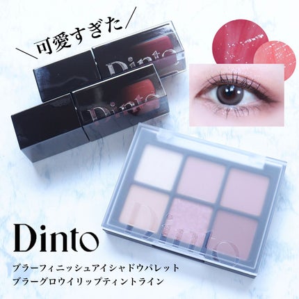 ブラーフィニシュシャドウパレット/Dinto/アイシャドウパレットを使ったクチコミ(1枚目)