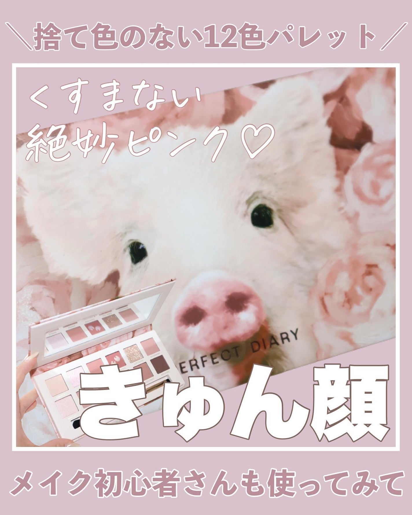 エクスプローラ12色 動物アイシャドウパレット/PERFECT DIARY/アイシャドウパレットを使ったクチコミ(1枚目)