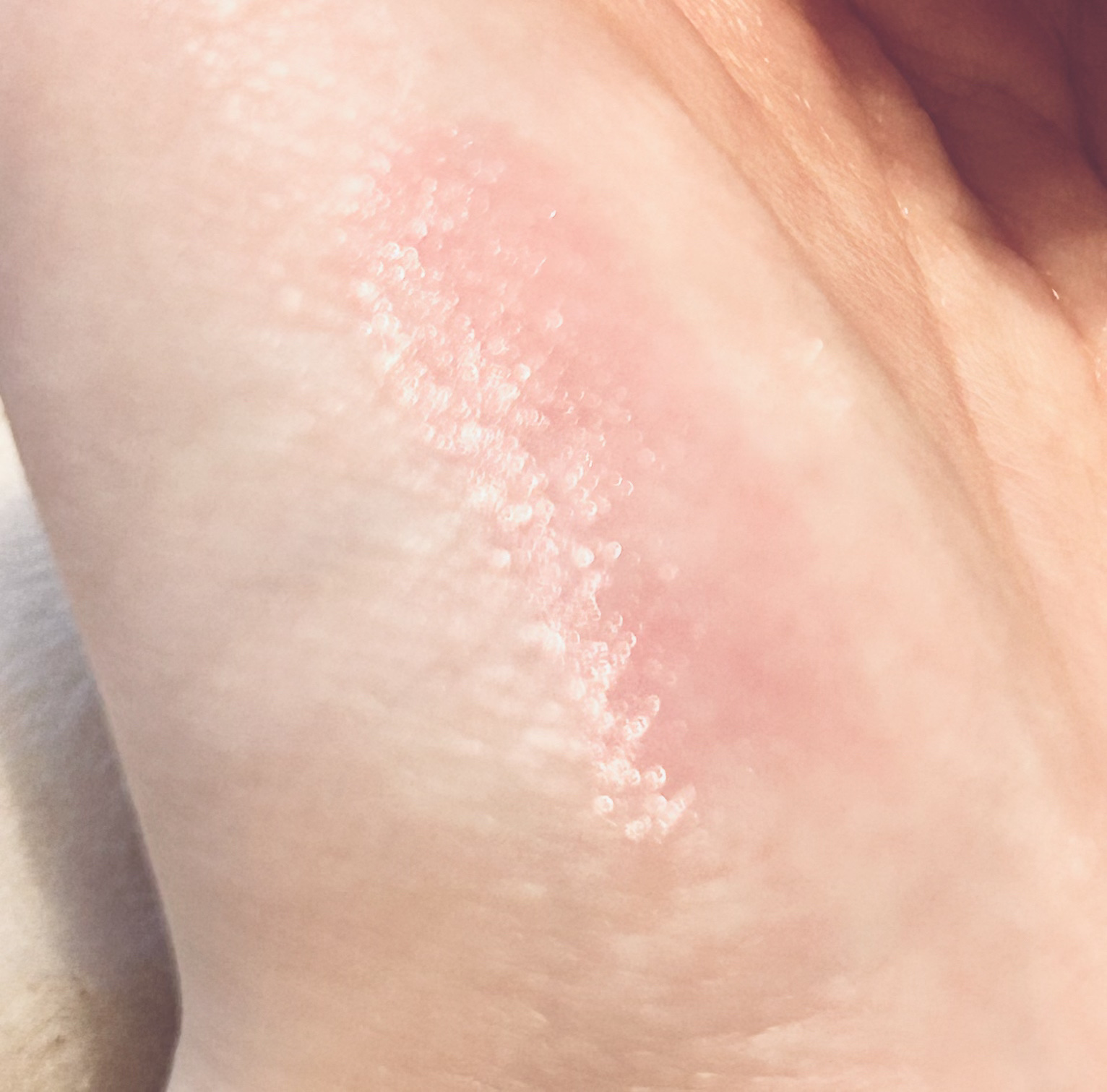 ウォーターメロウリップバーム 02 MAUVE BERRY (モーブベリー)　/TIRTIR(ティルティル)/リップバームを使ったクチコミ（3枚目）