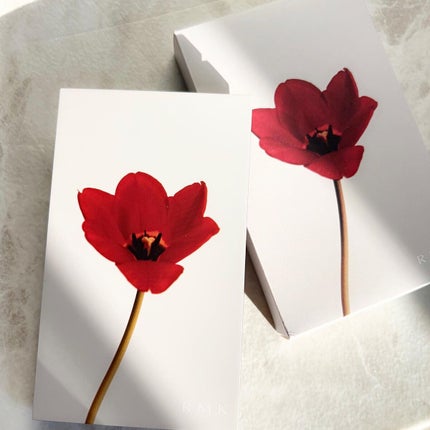 ウォーム メモリーズ アイシャドウパレット/RMK/アイシャドウパレットを使ったクチコミ(2枚目)