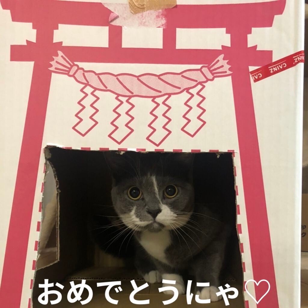 ネイルファンデーション/パラドゥ/マニキュアを使ったクチコミ(6枚目)