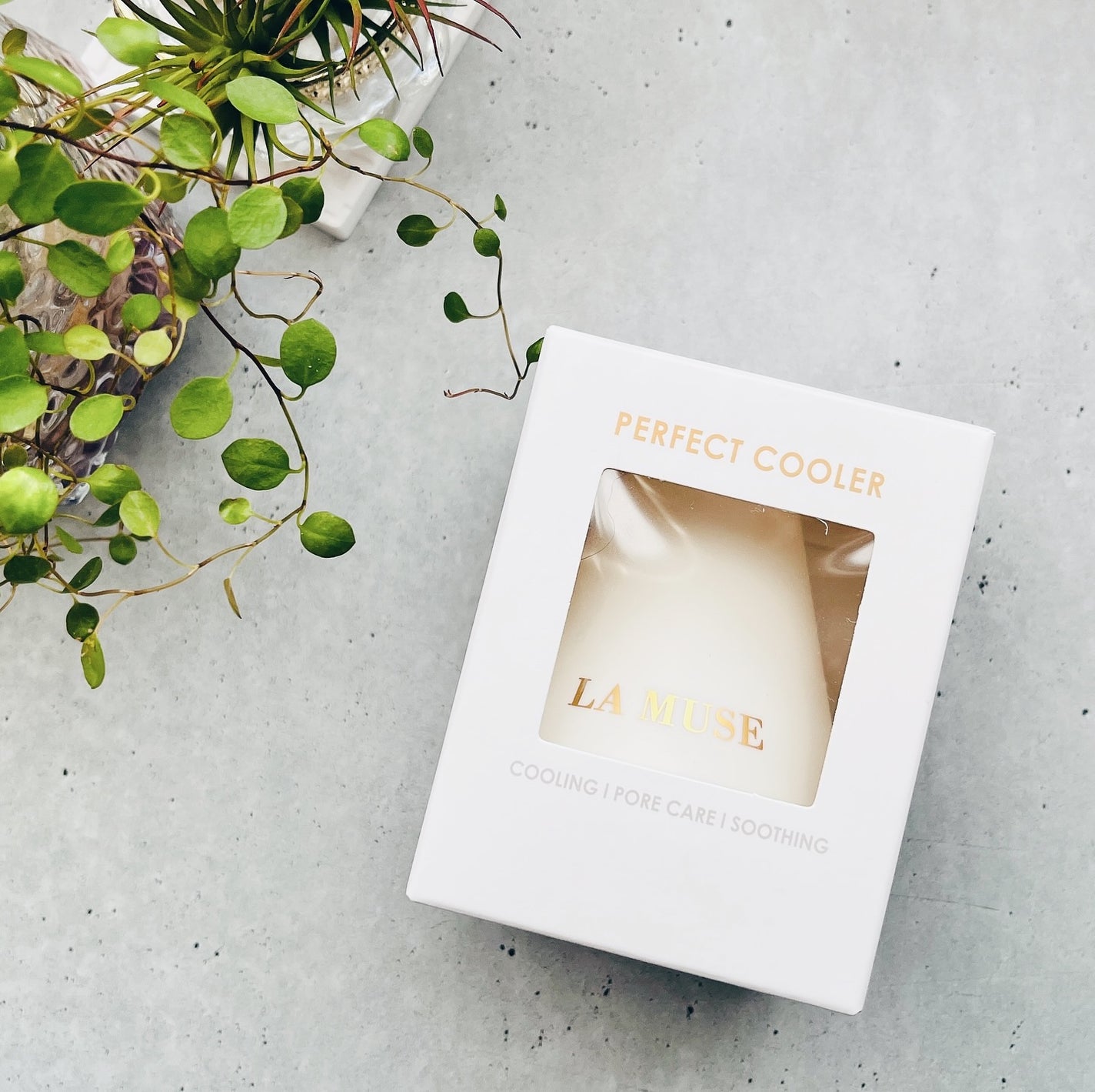 パーフェクトクーラー/ラミューズ/その他スキンケアグッズを使ったクチコミ(8枚目)