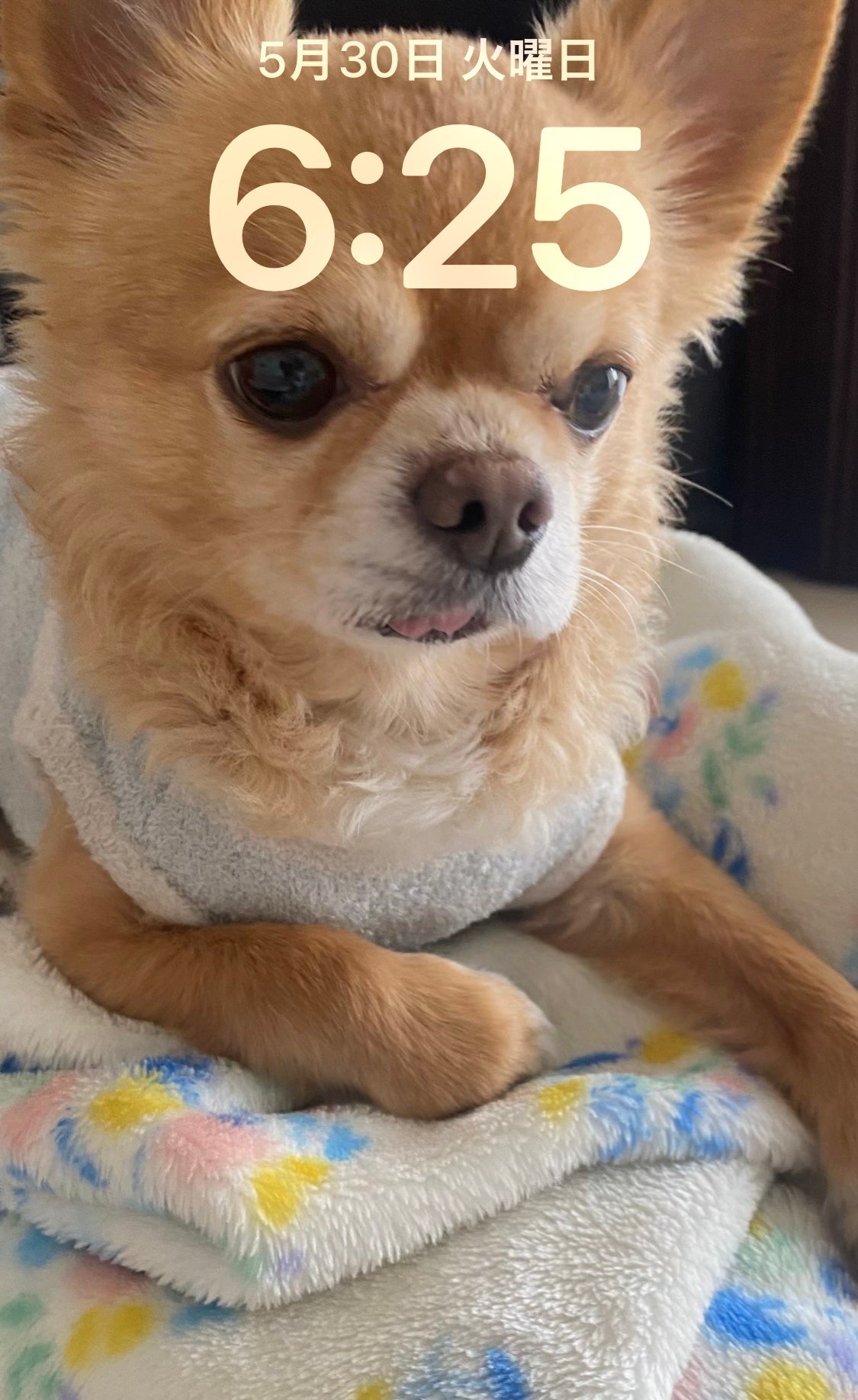 チーク ポップ/CLINIQUE/パウダーチークを使ったクチコミ(5枚目)