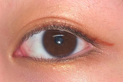 アイプランナー/excel/単色アイシャドウを使ったクチコミ(3枚目)