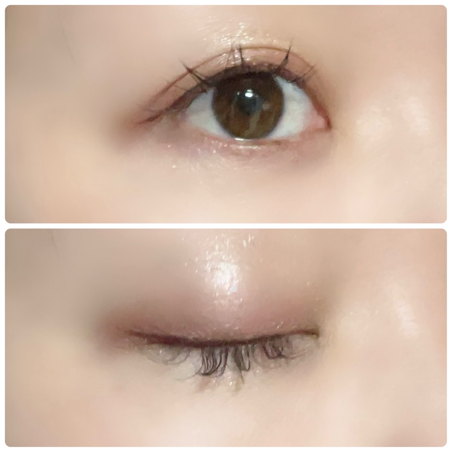 リアルクローズシャドウ/excel/アイシャドウパレットを使ったクチコミ（1枚目）