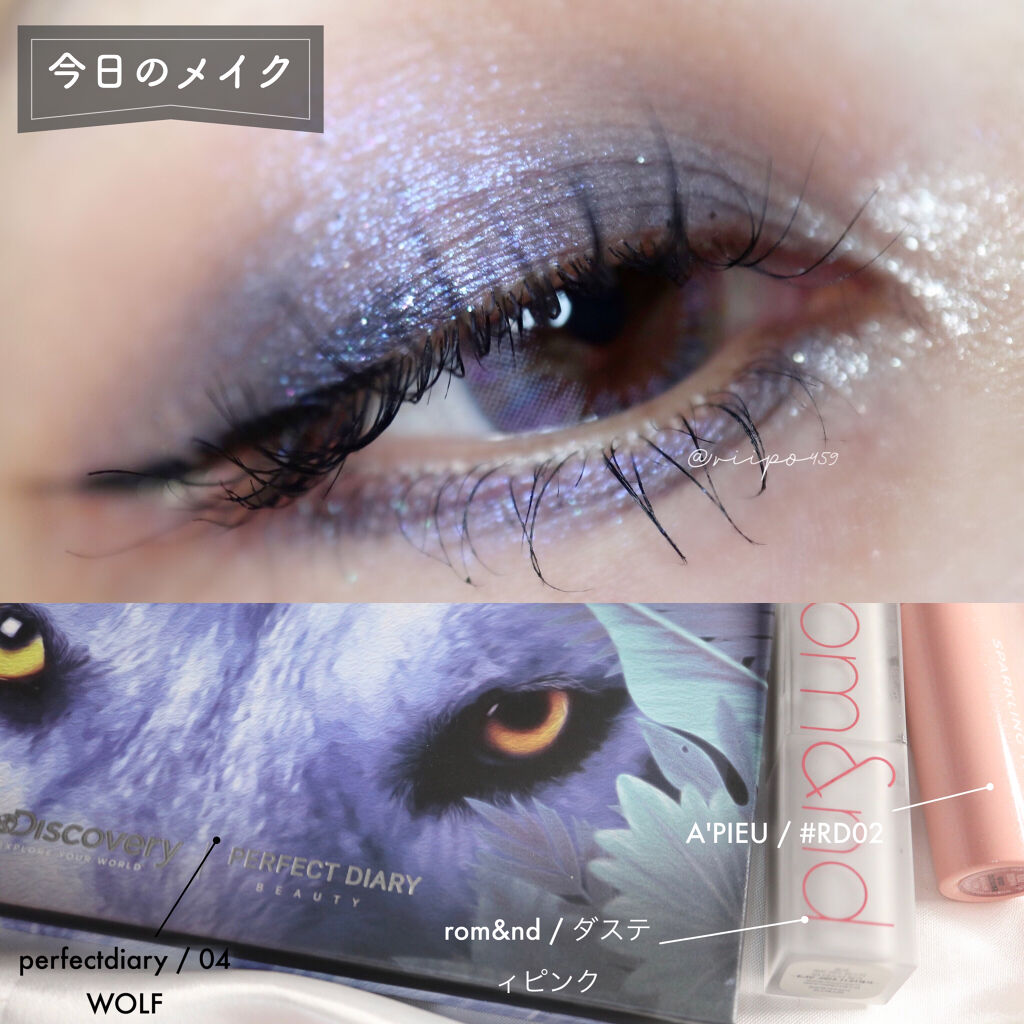 エクスプローラ12色 動物アイシャドウパレット/PERFECT DIARY/アイシャドウパレットを使ったクチコミ（1枚目）