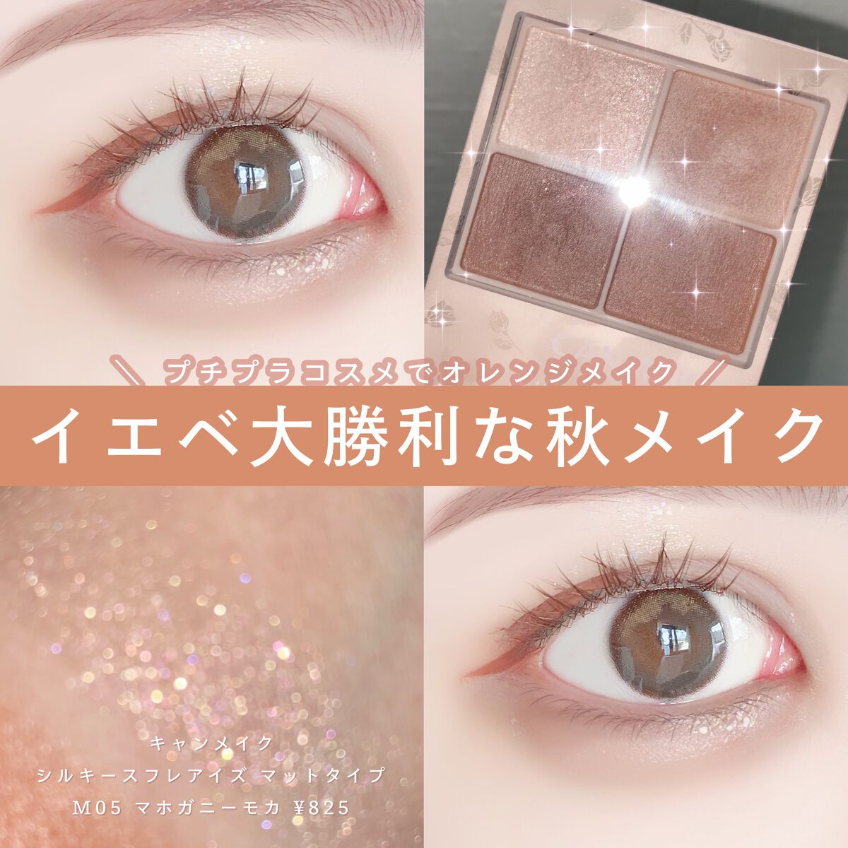 ノーズ&アイブロウパウダー/CEZANNE/パウダーアイブロウを使ったクチコミ(1枚目)