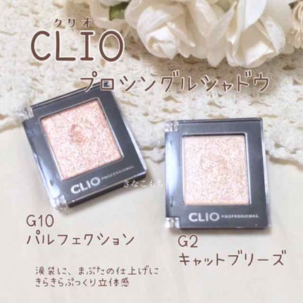 プロ シングル シャドウ/CLIO/単色アイシャドウを使ったクチコミ(1枚目)