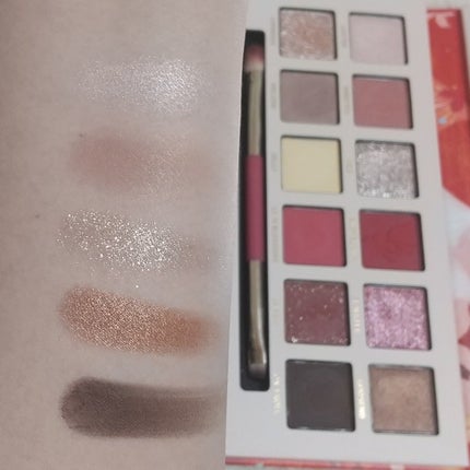 エクスプローラ12色 動物アイシャドウパレット/PERFECT DIARY/アイシャドウパレットを使ったクチコミ(3枚目)