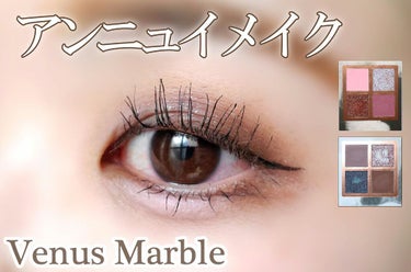 Venus Marble アイシャドウキャットシリーズ/Venus Marble/アイシャドウパレットを使ったクチコミ（1枚目）