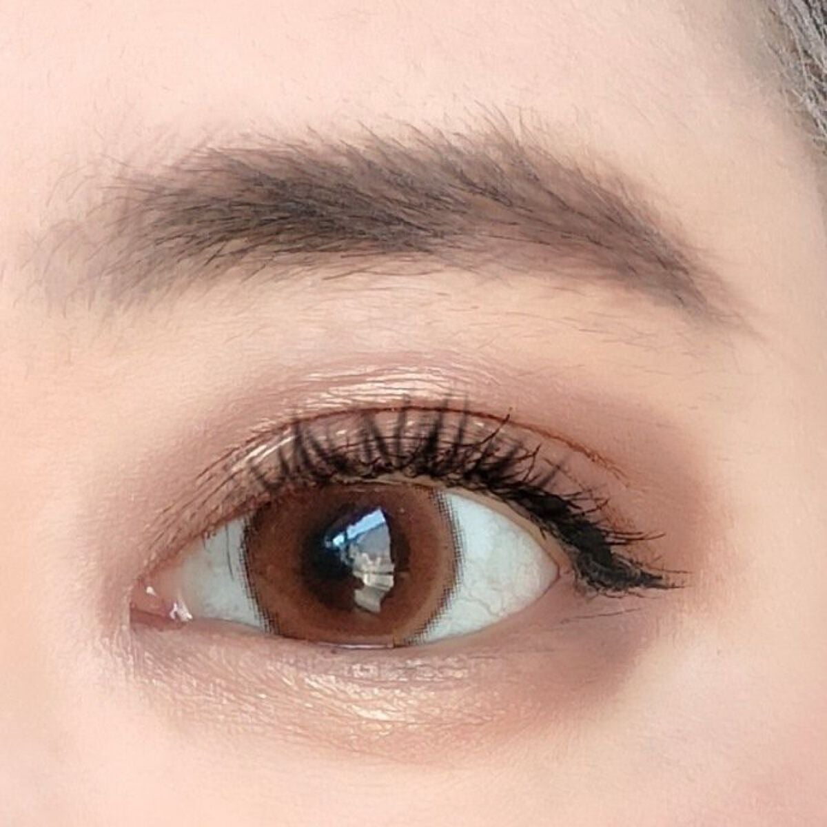 ノーズ&アイブロウパウダー/CEZANNE/パウダーアイブロウを使ったクチコミ(6枚目)