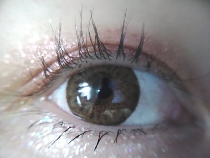 プレミアム ボリューム&カールマスカラ/Leanani/マスカラを使ったクチコミ(1枚目)