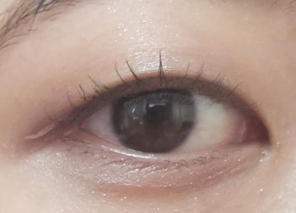 カラーリキッドアイライナー/ZEESEA/リキッドアイライナーを使ったクチコミ(5枚目)