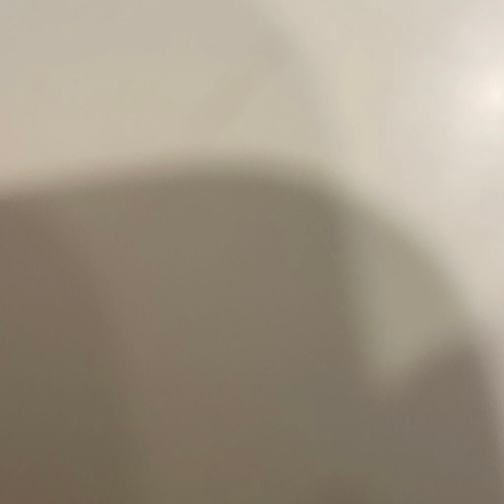 ケイト リップモンスター/KATE/口紅を使ったクチコミ(1枚目)