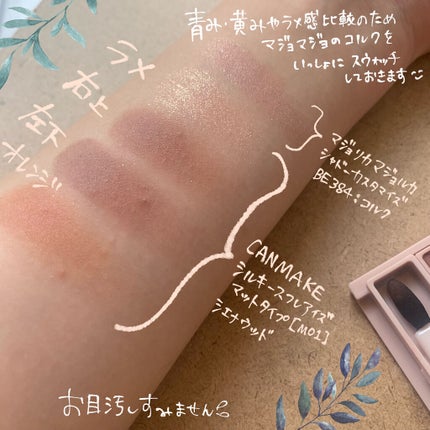 シルキースフレアイズ(マットタイプ)/キャンメイク/アイシャドウパレットを使ったクチコミ(4枚目)