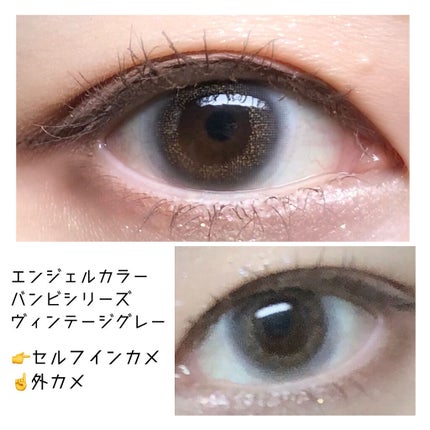 Angelcolor Bambi Series Vintage 1day/AngelColor/ワンデー(1DAY)カラコンを使ったクチコミ(1枚目)