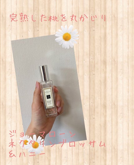 ネクタリン ブロッサム & ハニー コロン/Jo MALONE LONDON/香水(レディース)を使ったクチコミ(1枚目)