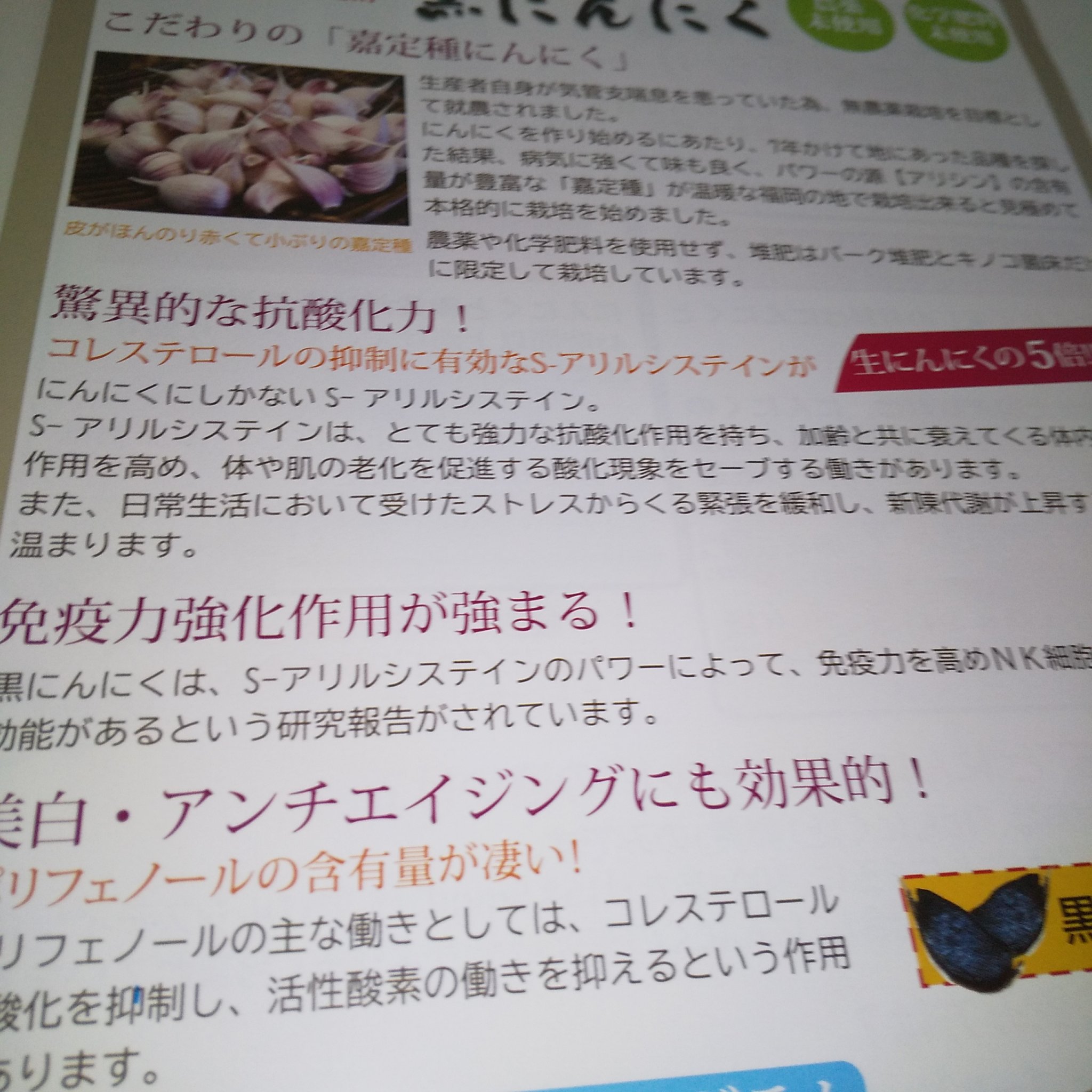 にんにく玉ゴールド/にんにく玉本舗/健康サプリメントを使ったクチコミ（3枚目）