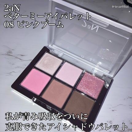 ベターミーアイパレット/2aN/マルチパレットを使ったクチコミ(2枚目)