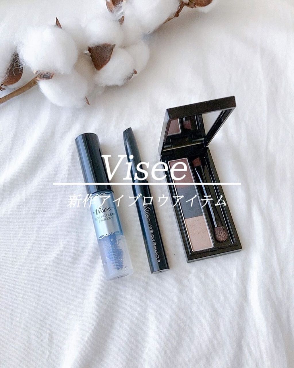 ヴィセ リシェ アイブロウパウダー/Visée/パウダーアイブロウを使ったクチコミ(1枚目)