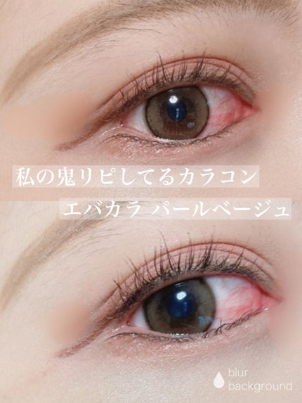 エバーカラーワンデー ナチュラル/エバーカラー/ワンデー(1DAY)カラコンを使ったクチコミ(1枚目)