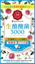 生酪酸菌3000 / ミナミヘルシーフーズ