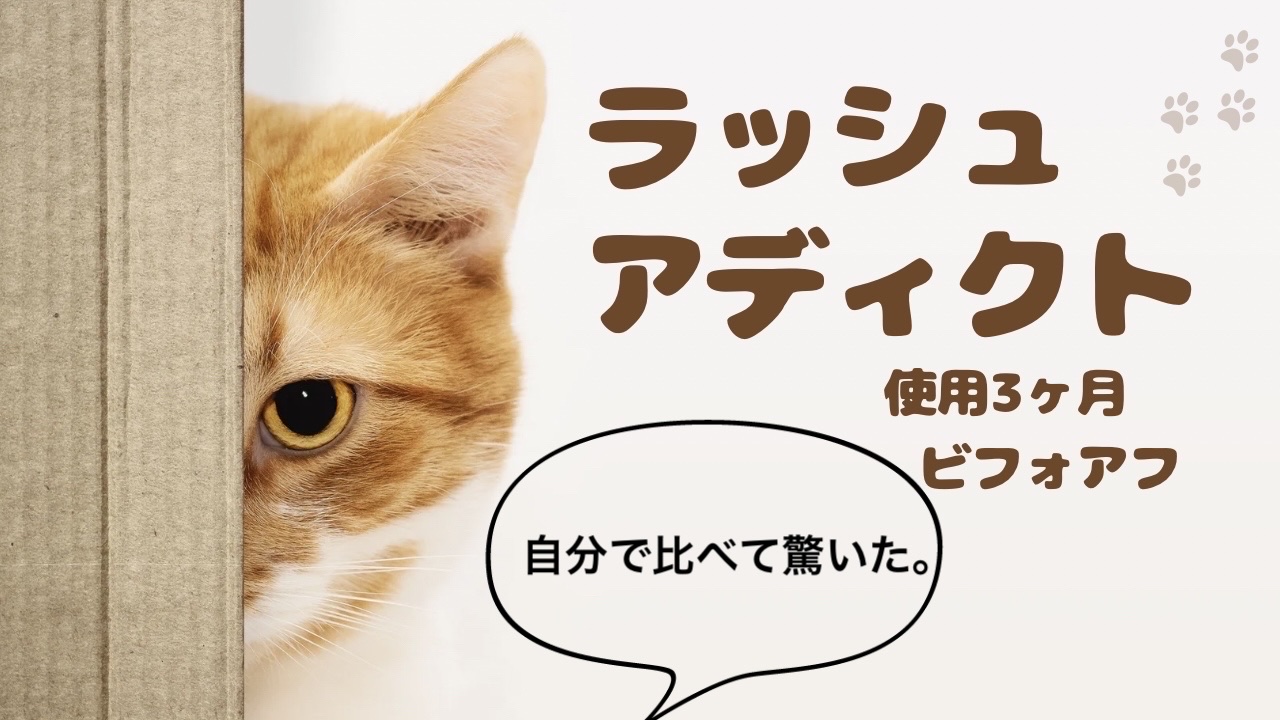 ラッシュアディクト アイラッシュコンディショニングセラム/soaddicted/まつげ美容液を使ったクチコミ（1枚目）