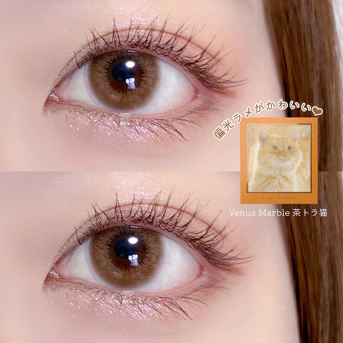 Venus Marble アイシャドウキャットシリーズ/Venus Marble/アイシャドウパレットを使ったクチコミ(1枚目)