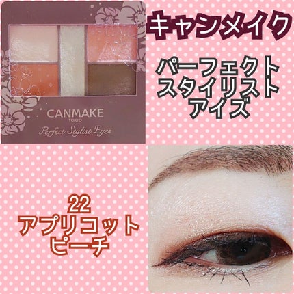 【旧品】パーフェクトスタイリストアイズ/キャンメイク/アイシャドウパレットを使ったクチコミ(1枚目)