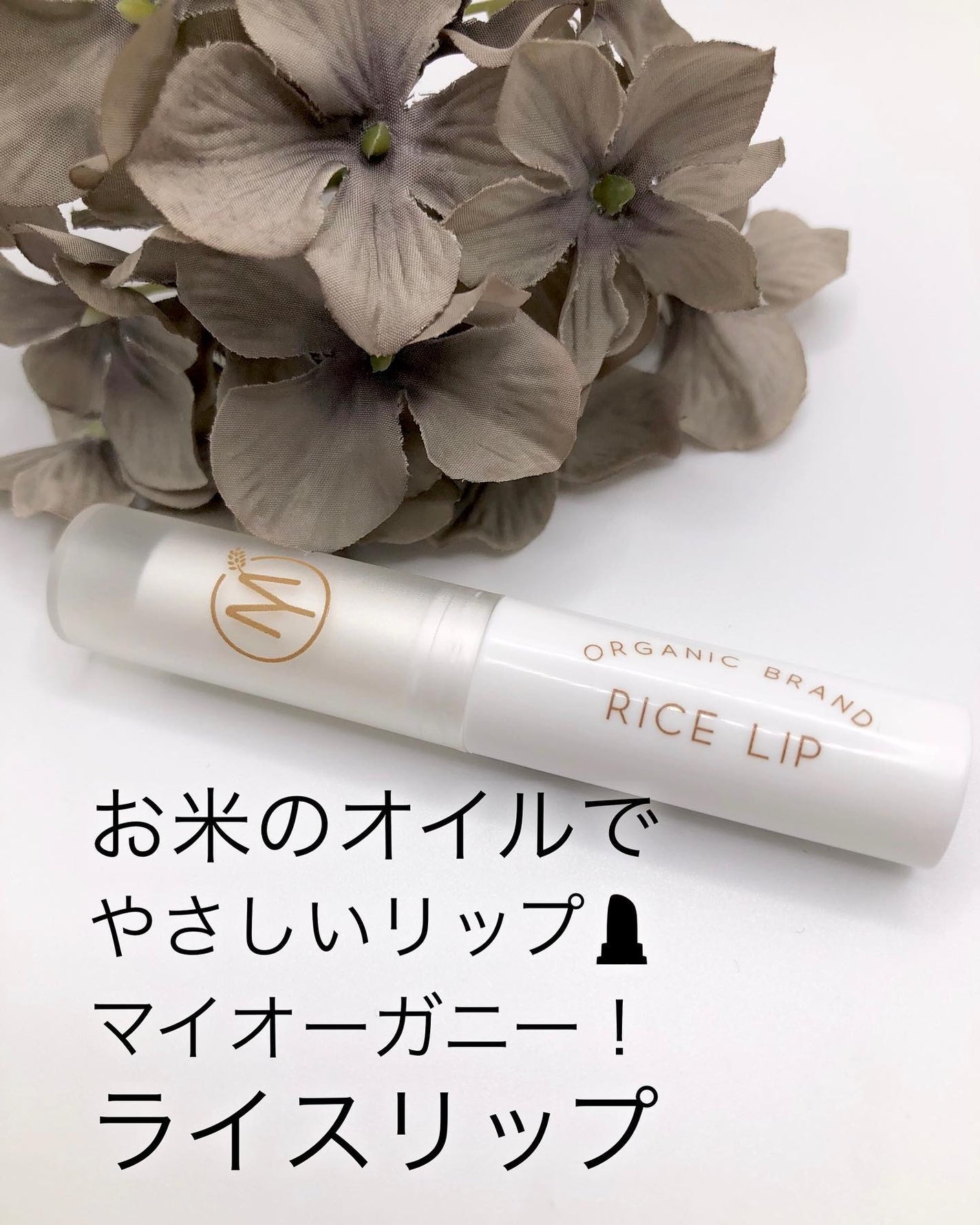 マイオーガニー! ライスリップ(無香料)/マイオーガニー/リップクリームを使ったクチコミ(1枚目)