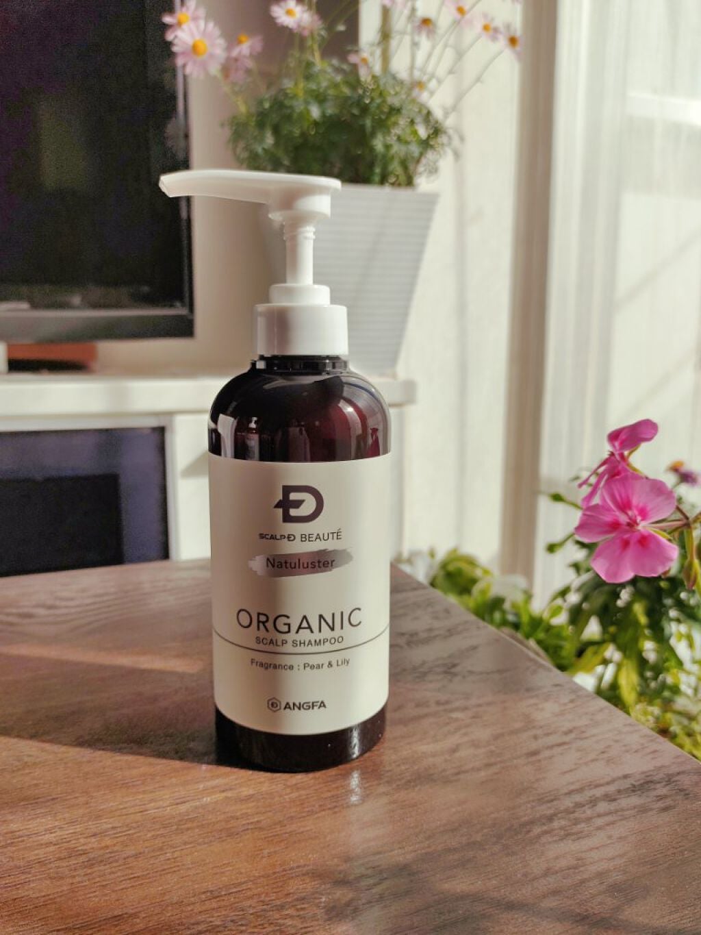 スカルプD ボーテ ナチュラスター スカルプシャンプー/トリートメントパック/アンファー(スカルプD)/シャンプー・コンディショナーを使ったクチコミ(1枚目)