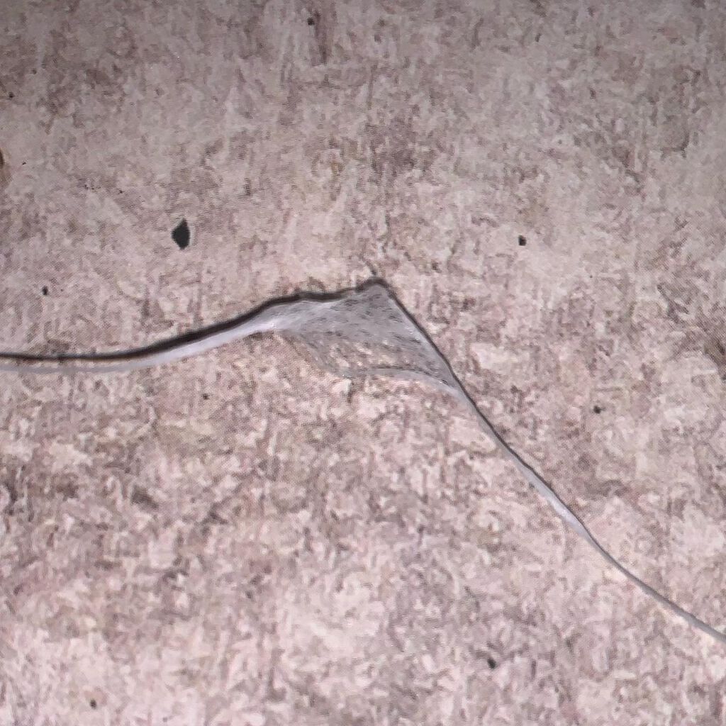 デンタルフロス/GUM/デンタルフロス・歯間ブラシを使ったクチコミ（3枚目）