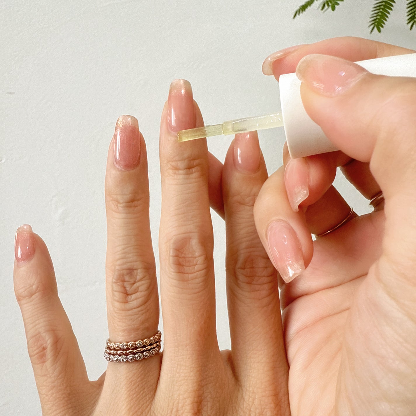 Lisaðââ¬æçš¿ãããã©ããð«¶ð» on LIPS ãæå
ã¯ãã®äººèªäœã®çŸããã衚ããŠãããšèšãããŠãŸãâð»ç§ã®#ã..ãïŒ4æç®ïŒ