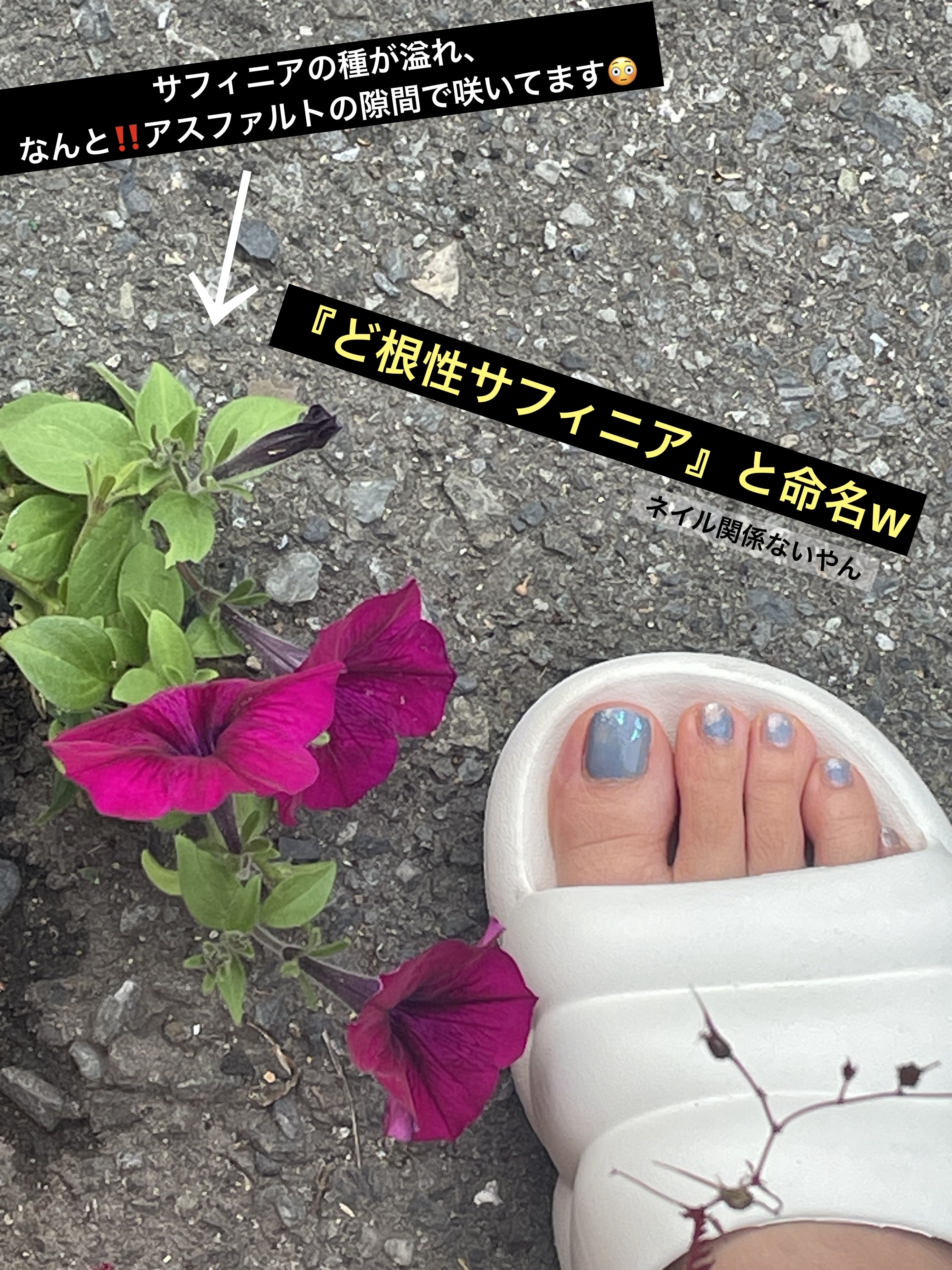 ミニネイル/パラドゥ/マニキュアを使ったクチコミ（3枚目）