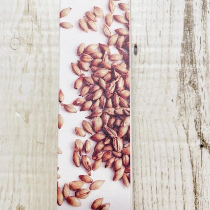 ブレミッシュ 酵素 洗顔パウダー/PAPA RECIPE/洗顔パウダーを使ったクチコミ(4枚目)