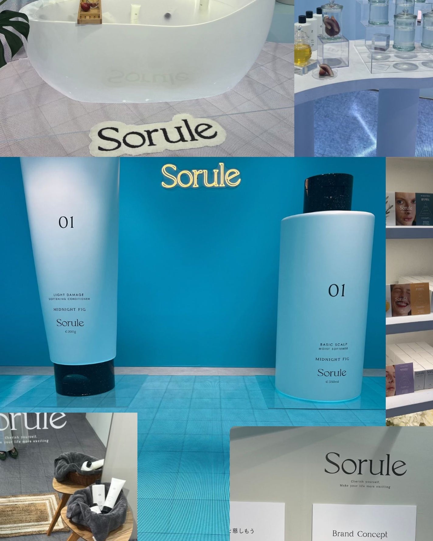 モイストソフナー 02オイリースカルプ/Sorule/市販シャンプーを使ったクチコミ(2枚目)