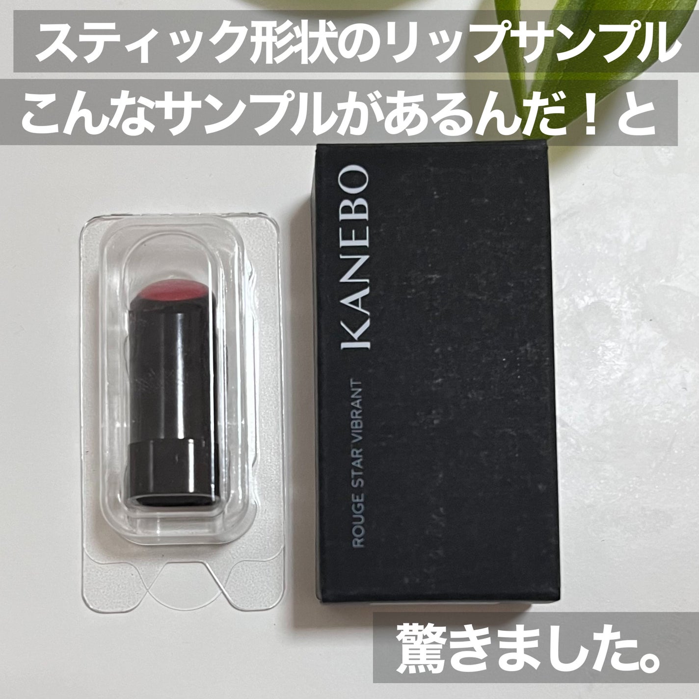 ルージュスターヴァイブラント/KANEBO/口紅を使ったクチコミ(5枚目)