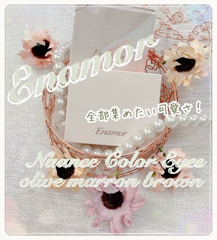 ニュアンスカラーアイズ/Enamor/アイシャドウパレットを使ったクチコミ(1枚目)