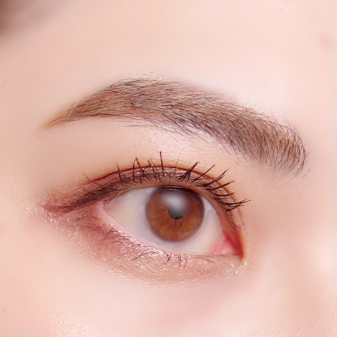 ラッシュニスタ プライマー/MAYBELLINE NEW YORK/マスカラ下地を使ったクチコミ(5枚目)