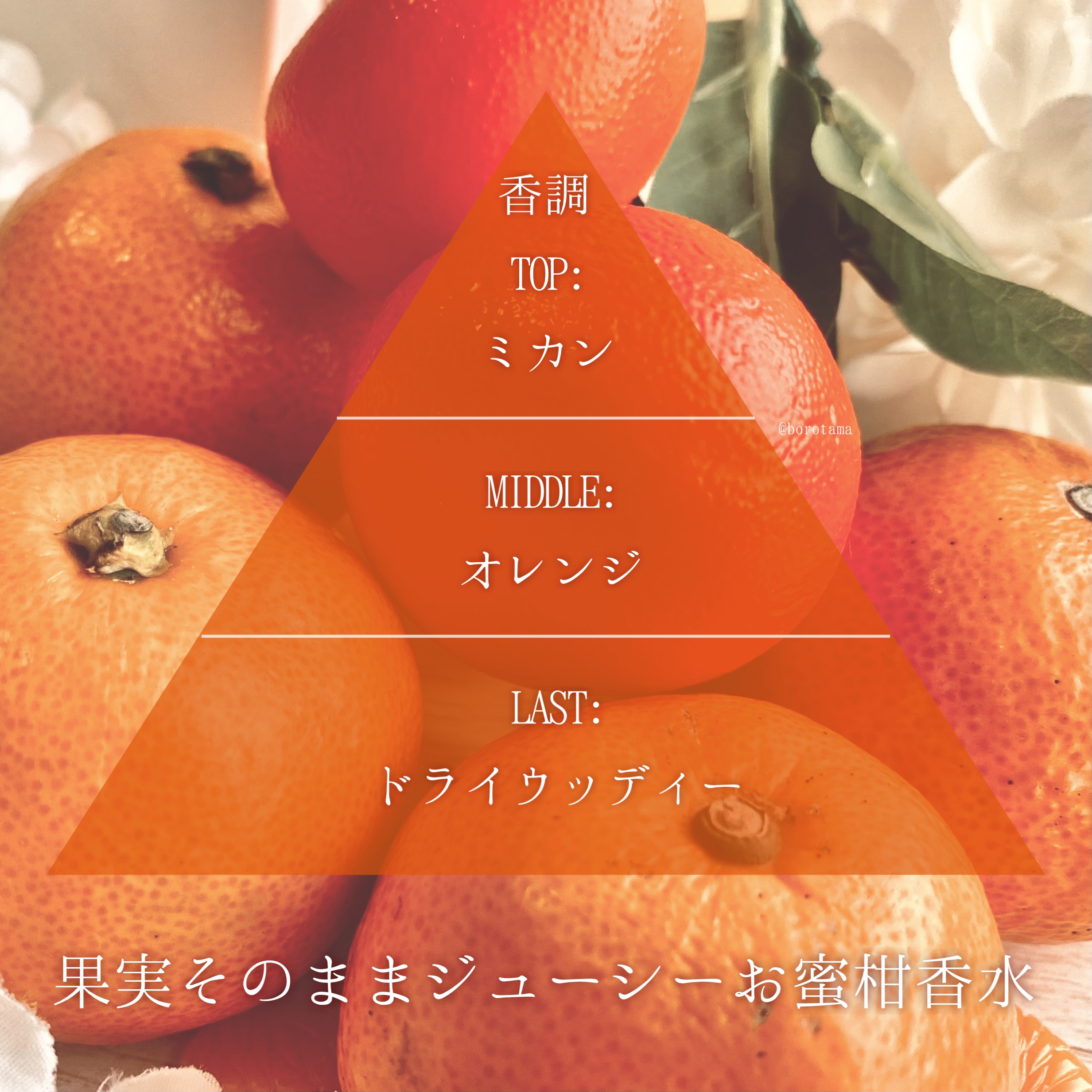 8500bd56f2636a3e7fa216c1-